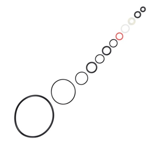 [271547] GOLDEN EAGLE SEAL SET FOR M870 GAS PUMP ACTION RIFLES WITH G